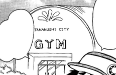 Celadon Gym Zensho.png