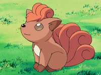 Christopher and Jeannie's Vulpix