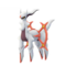 Arceus (Fire)