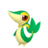 Snivy