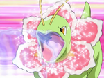 Nurse Joy Meganium Growl.png