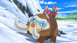 Ash Serena Mamoswine.png