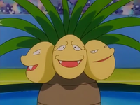 Mandi's Exeggutor