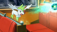 Shaymin Energy Ball.png