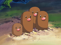 Solana's Diglett