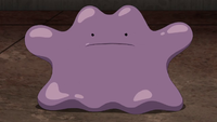 Kublock's Ditto