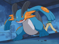 Tommy's Swampert