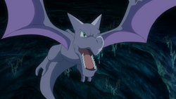 Faraway Island Aerodactyl.png