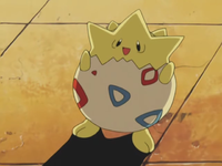 Princess Sara's Togepi