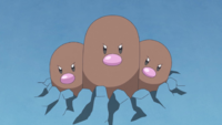 Rika's Dugtrio