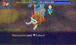 Endure PMD GTI.png