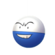 Electrode