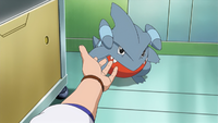 Professor Sycamore's Gible