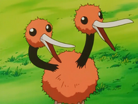 Gary's Doduo