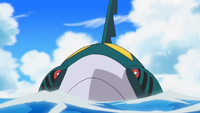 Sharpedo anime.png