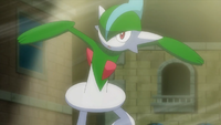 Carl's Gallade