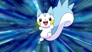 Dawn Pachirisu.png