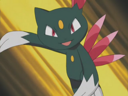 Harrison Sneasel Fury Swipes.png