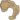 Mine Root Fossil 1.png