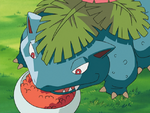 Noland Venusaur.png