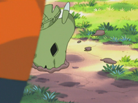 Ash Larvitar Dig.png