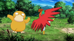 Nebel Plateau Psyduck.png