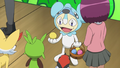 Chespin's head error