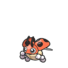 Ledyba