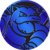 VBD Blue Blastoise Coin.png