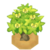 AguavTreeBloomVI XY.png