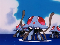 Captain Crook's Tentacruel