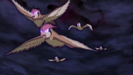 Marshadow Pidgey Pidgeotto.png