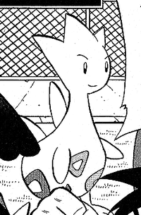 Ryū's Togetic