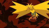 Lawrence III's Zapdos