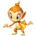 Chimchar