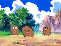 Fennel Valley Diglett.png