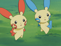 Thatcher's Plusle and Minun