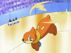 Flying Buizel.png