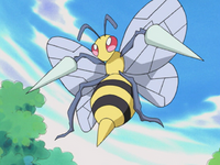 Jimmy's Beedrill