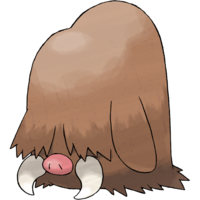 221Piloswine.png