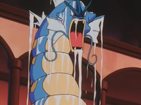 Clair's Gyarados