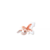 Goldeen