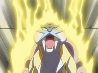 Raikou Thunder.png