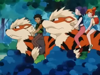 Ramona's Arcanine