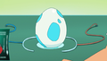 Ash's Riolu Egg