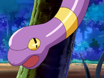 Bewilder Forest Ekans.png