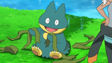 Burnet Munchlax.png