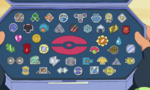 Ash's badges in the dream