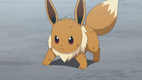 Kagetora's Eevee