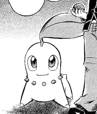 Tsubaki's Chikorita